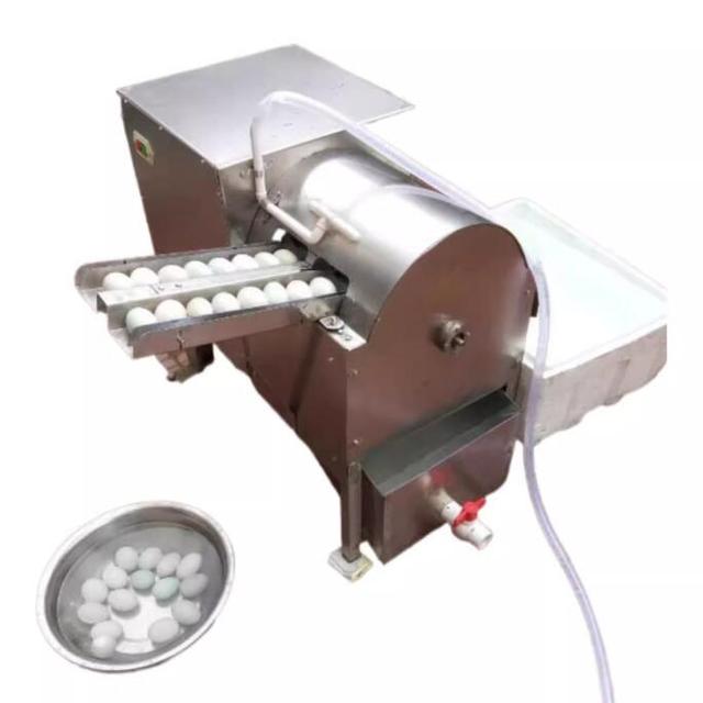 New Egg Washing Machine for Chicken Duck & Goose Eggs Stainless Steel High Capacity