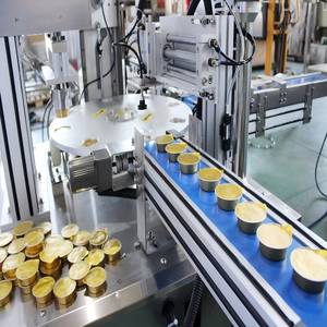 Máquina Automática de Llenado y Sellado de Láminas con 1 Cabezal para Líquidos, Pastas, Salsas y Miel, Controlada por PLC, con Bomba y Motor - Product Image 2