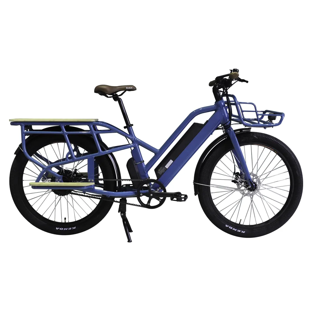 حزام دراجة كهربائية شهير, حزام دراجة كهربائية بنظام القيادة (48 فولت) مع سعر رائع