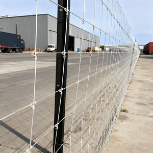 เสารั้วเหล็กรูปตัวทีเคลือบสังกะสีแบบอเมริกันเสารั้วฟาร์มเสาสวน - Product Image 4