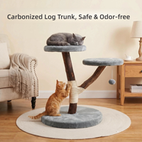 Arbre à chat tout-en-un en bois de frangipanier avec nid pour chat, griffoir en sisal de fabrication directe avec double plateforme de repos pour chats d'intérieur