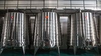 Réservoir de fermentation de jus de champagne 1000l fermentatore del vino équipement de fermentation de vin