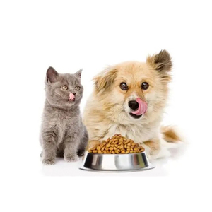 Automatic Equipment Production Making Extruder Dry Puffing Dried <strong>Kibble</strong> Fish Pet <strong>Food</strong> Cat <strong>Dog</strong> <strong>Food</strong> Processing Machine - Product Image 6
