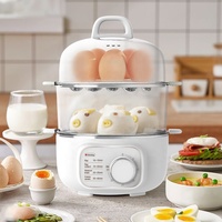 Cuiseur à vapeur à œufs pour la cuisine Chaudières électriques multi-œufs à chaleur rapide