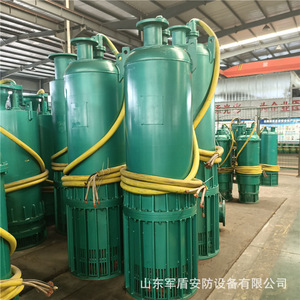 ปั๊มจุ่มใต้น้ำป้องกันการระเบิด Bqs170-50-45kw 45 แรงม้า ปั๊มแรงดันสูงสำหรับอุตสาหกรรมเหมือง ปั๊มน้ำเหล็กแบบแรงเหวี่ยง - Product Image 1