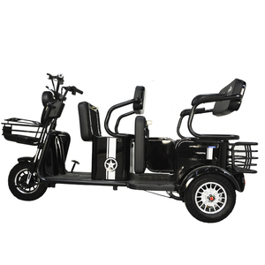 Triciclo Eléctrico de 3 Ruedas con Carrocería Cerrada, Motor sin Escobillas de 600W de Alta Potencia, 48V 20AH, Nuevo Estilo, para Adultos - Product Image 1
