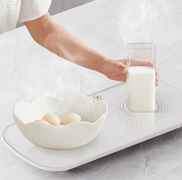 Home Insulation Board Tisch heizung Konstante Temperatur Elektrische Koch platte Food Warmer Tray