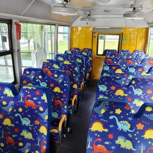 Autobus Scolastico Ankai 8m con 21-40 Posti Diesel Guida a Sinistra Conforme agli Standard di Sicurezza Stradale - Product Image 3