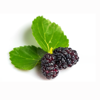 Bevroren Fruit Voor Bevroren Zwarte Vruchten Van Bevroren Moerbei Geheel