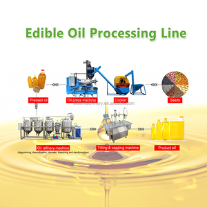 Máquina de Extracción de Aceite de <span class=keywords><strong>Palma</strong></span> Automática en Frío y Caliente de Acero Inoxidable WETO para Semillas de Soja, Girasol y Cacahuete - Capacidad de 1000 kg/h - Product Image 2