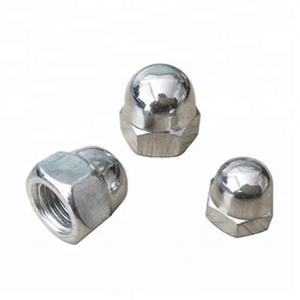 Venta caliente <span class=keywords><strong>de</strong></span> fábrica Din 1587 M6 M8 M10 304 tuerca <span class=keywords><strong>de</strong></span> tapa abovedada <span class=keywords><strong>de</strong></span> brida hexagonal <span class=keywords><strong>de</strong></span> acero inoxidable/tuercas <span class=keywords><strong>de</strong></span> bellota con cubierta <span class=keywords><strong>de</strong></span> nailon - Product Image 6