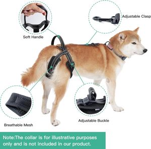 Large Dogs Lift Anti Slip Sling <span class=keywords><strong>Rear</strong></span> Hind Legs <span class=keywords><strong>Harness</strong></span> para Idosos Deficiências e Lesões Pets - Product Image 2