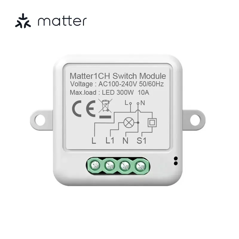 Modulo interruttore materia RSH Alexa Google Homekit Smartthings relè remoto Wireless interruttore telecomando WiFi interruttore luce intelligente 1 2 3 4 Gang