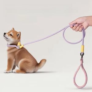 Correa para perros P-Slip duradera de lujo con mango suave, correa de entrenamiento todo en uno multicolor para caminar/entrenar (todos los tamaños de perros) - Product Image 2