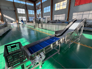 Clasificador Inteligente de <span class=keywords><strong>Papas</strong></span> - <span class=keywords><strong>Identificación</strong></span> de Defectos por IA para Fábricas de <span class=keywords><strong>Papas</strong></span> Fritas - Product Image 2