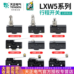 Interrupteur de fin de course Tengen LXW5 Micro-interrupteur 11D G1 G2 M N1 Q1 Q2 Z IP40 à réinitialisation automatique - Product Image 5