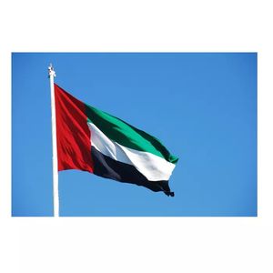 Bandera del Día Nacional <span class=keywords><strong>de</strong></span> los Estados Unidos, países árabes, Países Árabes Unidos, 100% poliéster, 3x5 pies - Product Image 2