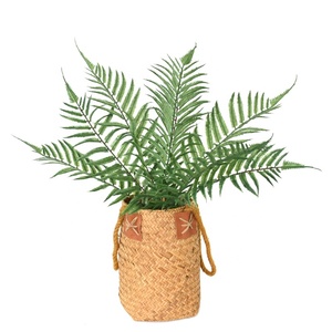High Quality <strong>Cheap</strong> Plastic <strong>Plant</strong> 8 Head Persian <strong>Fake</strong> Grass Artificial Fern <strong>for</strong> Decoration - Product Image 6