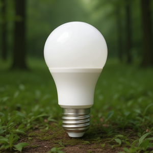 Lampadina LED E27 6W 12-24Vdc Standard - Product Image 3