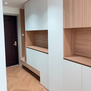 Modern Minimalist Wood Living Room Suite Integrated <strong>Design</strong> Storage Cabinet Walk-In <strong>Closet</strong> Shoe Cabinet. Eco-Friendly - Product Image 5