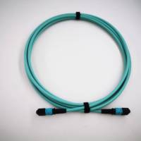 10G 100G MM OM3 OM4 OM5 MTP 48 Fibres 48 Core MPO Connecteur Trunk Cable Fiber Optic Patch Cord