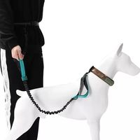 Laisse de course mains libres de luxe personnalisée pour chien et chat, en nylon, avec ceinture ajustable, double poignée, élastiques et corde rétractable