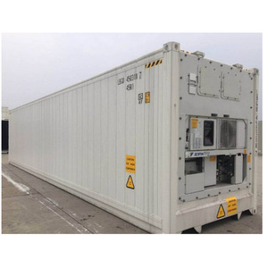 Armoire d'hôpital en acier, panneau plat, 2 portes, montage au sol, industrielle, durable, utilisation extérieure - Product Image 4