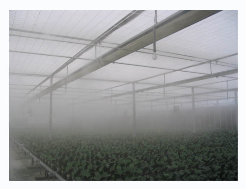 Greenhouse High Pressure Micro Sprinkler Irrigation
