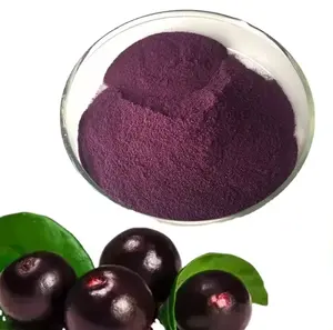 100% Acai Berry Brazil Organic Natural Fruit Acai Berry Powder for Beverage Food and Acai Berry Juice Powder