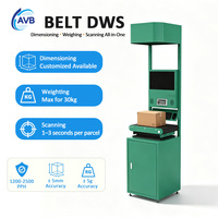 Système de convoyeur à bande personnalisé pour entrepôt WMS EPR, capacité 1-30 kg, système DWS