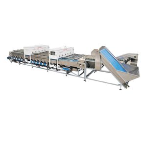 Diepvries aardbeien sorteermachine met de nieuwste software en AI hoogste technologie - Product Image 4