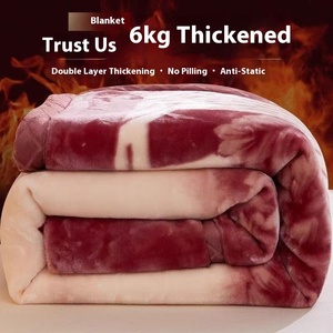 Großhandel Koreanische Doppelt Dicke Raschel Bedruckte Coral Fleece Anti-Milben Winterdecke Sofa Nickerchen Hochzeitsgeschenk - Product Image 2