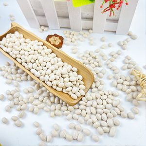 Trực Tiếp Từ Trung Quốc Số Lượng Lớn Các Loại Khác Nhau của Trắng Thận Đậu Và Hải Quân Đậu Nguyên Liệu Và Khô Cho Thực Phẩm Sử Dụng - Product Image 5