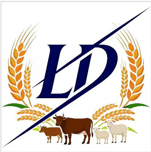 Xingtang County Liaodong Machinery Manufacturing Co., Ltd. logo