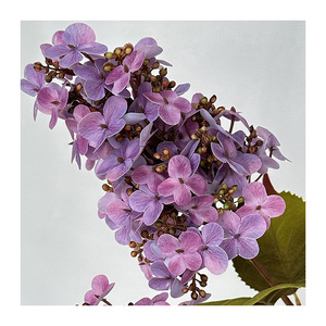 <span class=keywords><strong>Hortensia</strong></span> artificial realista Plantas <span class=keywords><strong>de</strong></span> <span class=keywords><strong>hortensia</strong></span> en forma <span class=keywords><strong>de</strong></span> torre <span class=keywords><strong>de</strong></span> 3 cabezas para decoración del hogar Entrega rápida <span class=keywords><strong>Precio</strong></span> <span class=keywords><strong>de</strong></span> fábrica - Product Image 4