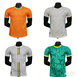 เสื้อทีมชาติแอฟริกันราคาส่งถูก, เสื้อทีมชาติไอวอรีโคสต์, เสื้อทีมชาติเซเนกัล - Product Image 3