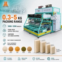 Máquina de Envasado al Vacío para Perlas de Tapioca 0.25-5kg, Cuatro Estaciones, Alimentación Automática de Bolsas, Moldeado de Ladrillos, Sellado por Calor