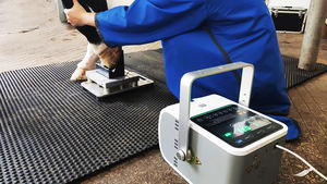 Yüksek frekanslı hızlı teslimat taşınabilir dijital veteriner röntgen cihazı fiyatları taşınabilir X ışını Pet - Product Image 5