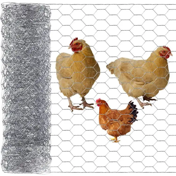 Malha de ferro galvanizada, para aves, redes hexagonais, de galinha, rolo de malha