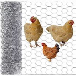 Grillage métallique en fer galvanisé à chaud, filet de volaille, cage hexagonale de poulet, rouleau de treillis métallique