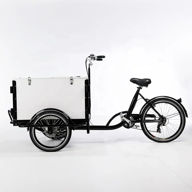 Трехколесный грузовой Электрический трехколесный грузовой велосипед