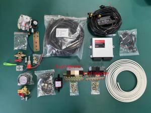 Nigeria estándar motocicleta KEKE CNG LPG kit de conversión Autogas para tres ruedas triciclo <span class=keywords><strong>Motocars</strong></span> - Product Image 2