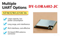 Module LoRa LoRaWAN STM32WLE5JC avec chipset SX1262 pour développement secondaire, modèle DY-LORA402-JC, antennes externes, IoT basse consommation