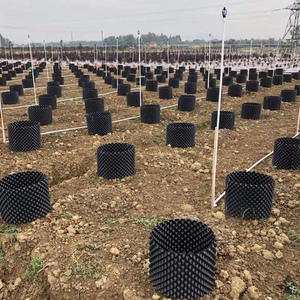 Coltivare In rotolo <span class=keywords><strong>piante</strong></span> Base radice Bonsai nero giardino piantatore vasi di potatura ad aria <span class=keywords><strong>per</strong></span> la <span class=keywords><strong>vendita</strong></span> <span class=keywords><strong>piante</strong></span> potatura albero vaso - Product Image 6