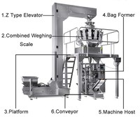 Machine à emballer les chips de pommes de terre entièrement automatique 100g 500g 1000g