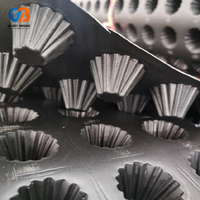 Planche de drainage concave moderne en plastique HDPE durable et imperméable pour tunnels, sous-sols, fondations, jardins, barrages, écoles