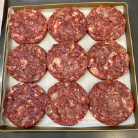 Nouvelle série BNT-208, machine automatique à galettes de viande pour hamburgers, machine commerciale de formage de galettes congelées à haute capacité pour les usines