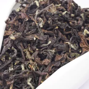 Chinese taiwan altas montanhas beleza oriental oolong chá tradição melhor oolong chá taiwan chá oolong beleza oriental