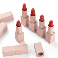 Nouveau Design Maquillage Rouge À Lèvres Marque Privée Rose Magnétique 24 Heures Étanche Mat Vegan Rouge À Lèvres Nude