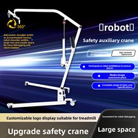 Grue de levage robotisée intelligente anti-chute et anti-déplacement, dispositif de levage humanoïde électrique silencieux multicolore